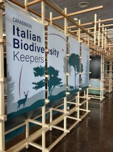 The forest city.  Nature based solutions for a sustainable future